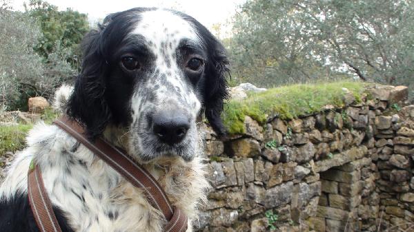 Jack Foto 4